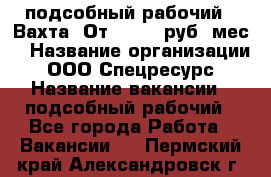 подсобный рабочий . Вахта. От 30 000 руб./мес. › Название организации ­ ООО Спецресурс › Название вакансии ­ подсобный рабочий - Все города Работа » Вакансии   . Пермский край,Александровск г.